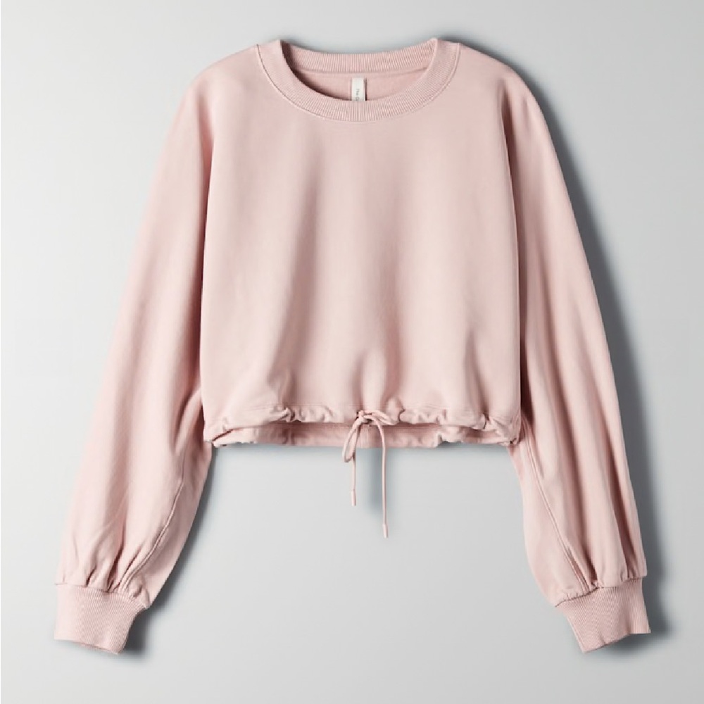 Aritzia Babaton Cropped Leisure Sweatshirt